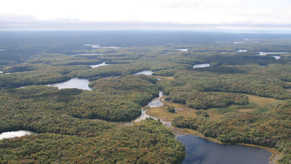 オンタリオの中部から北部にかけては、森の中、大小の湖が点在する