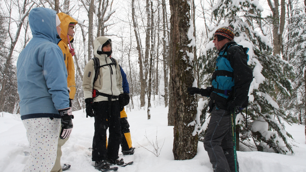 冬のアルゴンキン州立公園で、スノーシューを履き雪の中の森を観察